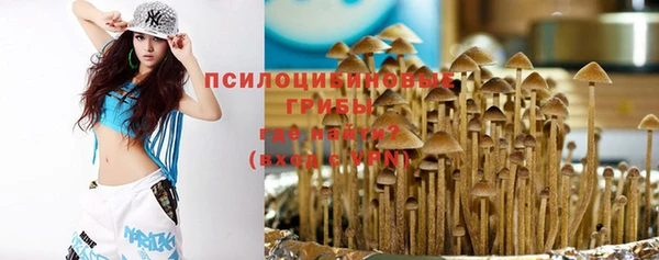 mix Богородицк